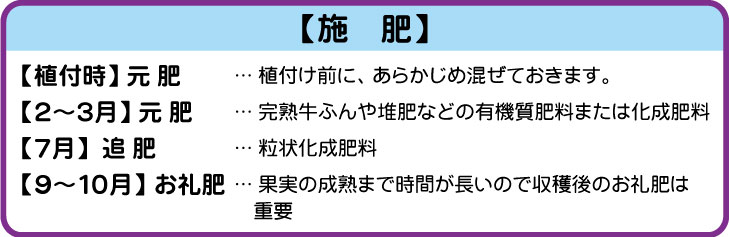 栗 ナンバホームセンター