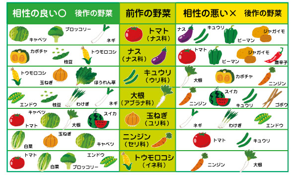 前作と後作 野菜の相性 ナンバホームセンター