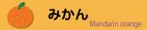 温州みかん