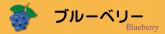 ブルーベリーの育て方
