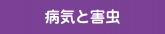 病気と害虫