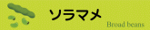 ソラマメ