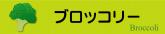ブロッコリー