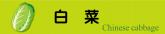 白菜