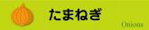 タマネギ