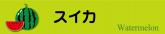 スイカ