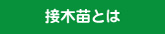 接木苗とは
