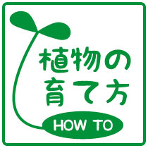植物のそだてかた